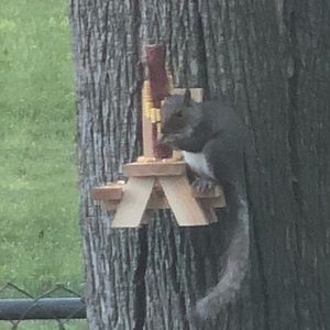 Meet your Posher, Eric